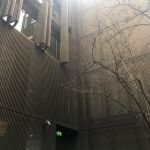 IMG_5620.jpeg