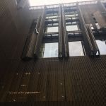 IMG_5618.jpeg