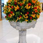 P1030988_2.jpg