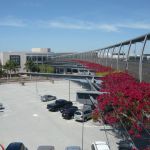 California 4.jpg