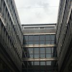 IMG_5616.jpeg
